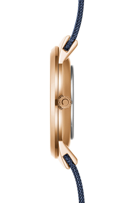 Kadın Kol Saati V255LXVLML - 4