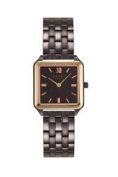 Kadın Kol Saati V309LXXNSN 