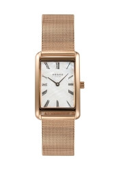 Kadın Kol Saati V311LXVWMV 